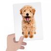 Picture of HEADU TACTILE FLASHCARDS